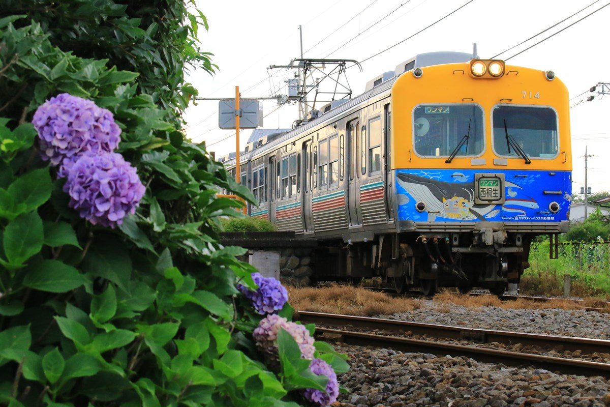 7月14日』 といったわけで、今日は714番の日でした🙄