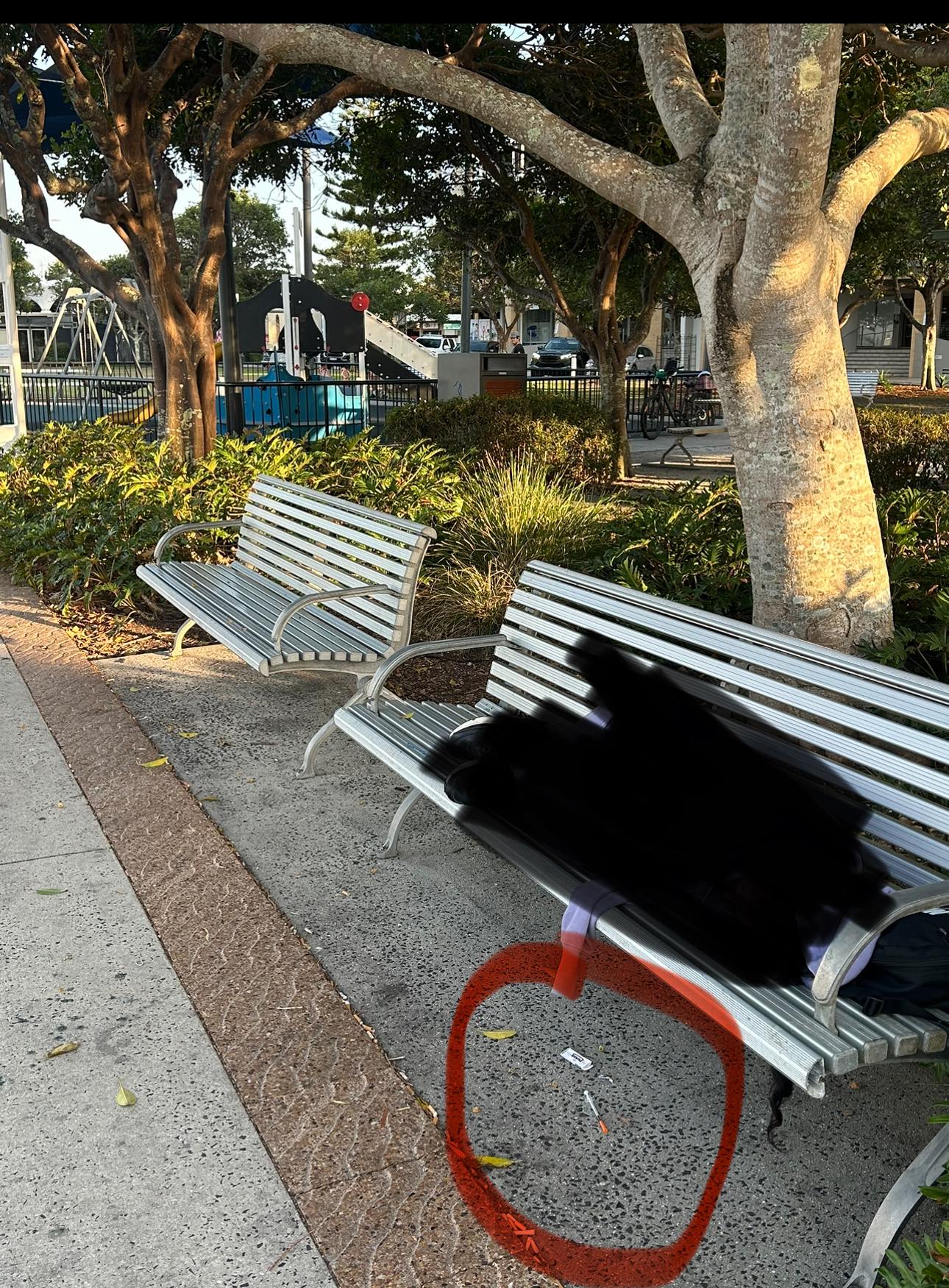 What should be done about needles in Ballina parks?