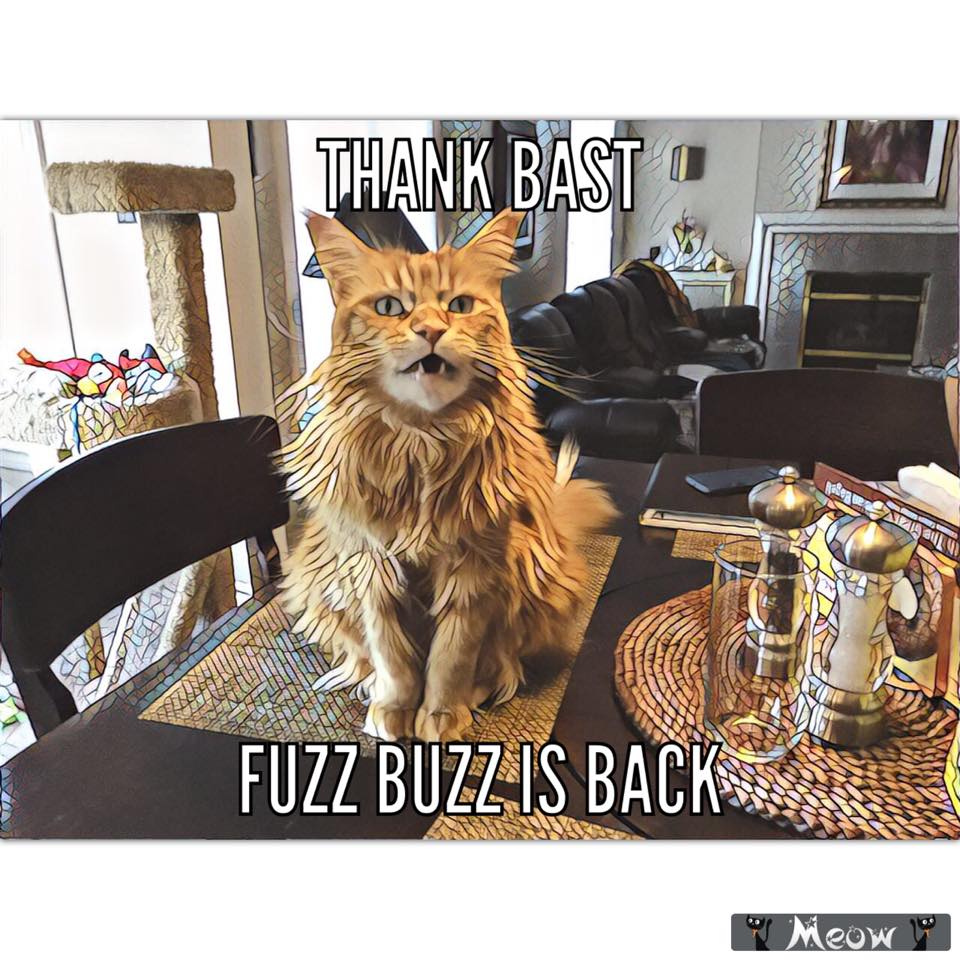 Fuzz Buzz