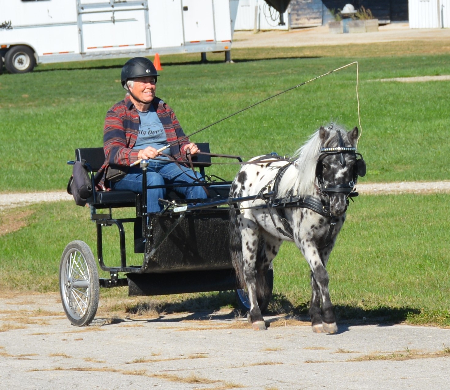 Beginning Carriage Driving | I always like driving with a wedge seat ...