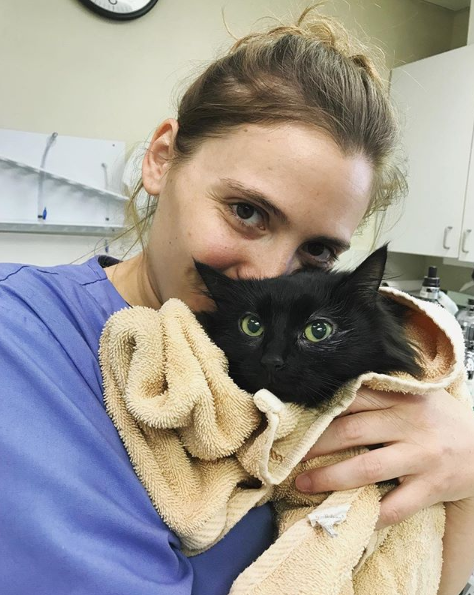Today is Hug Your Cat Day and... - VCA Blum Animal Hospital