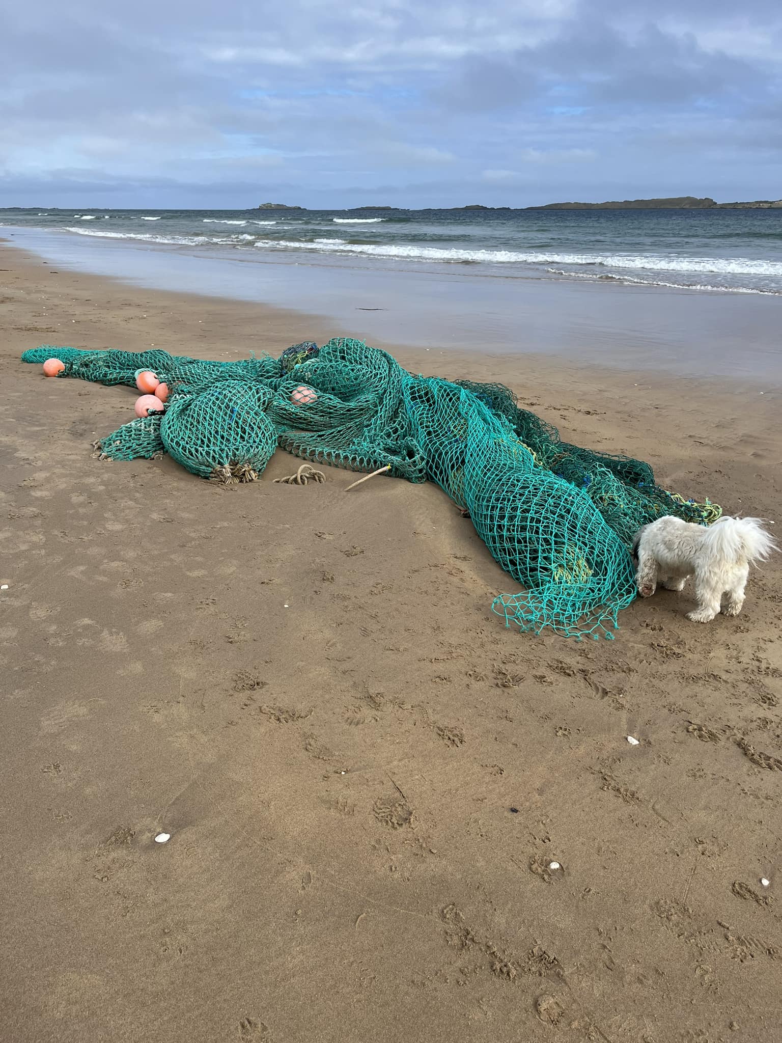 beach net fishing uk Mesh Drag Cast Net, Seine Fishing Gill Net, Hand Made Nylon Beach Seine Nets Sports & Outdoors Every pair is made from