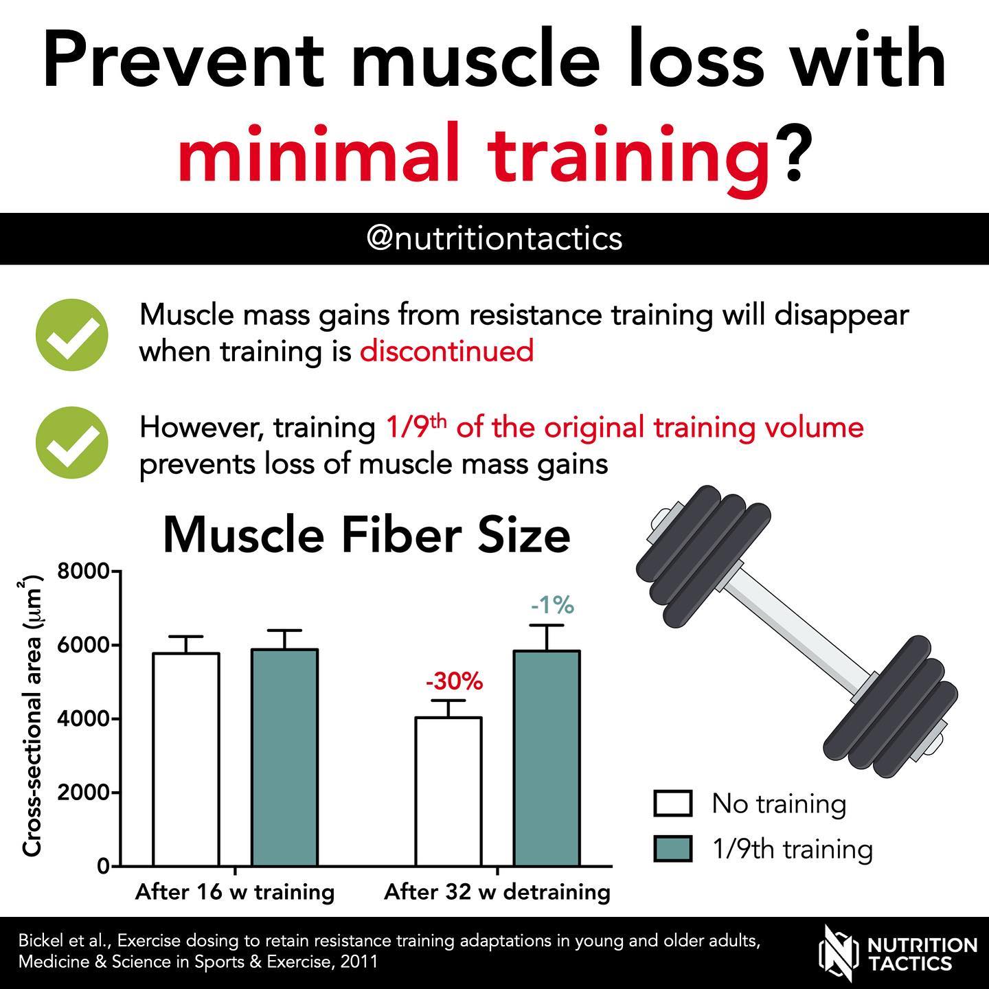 Nutrition Tactics - 💪🏻How much training is needed to avoid loss of ...