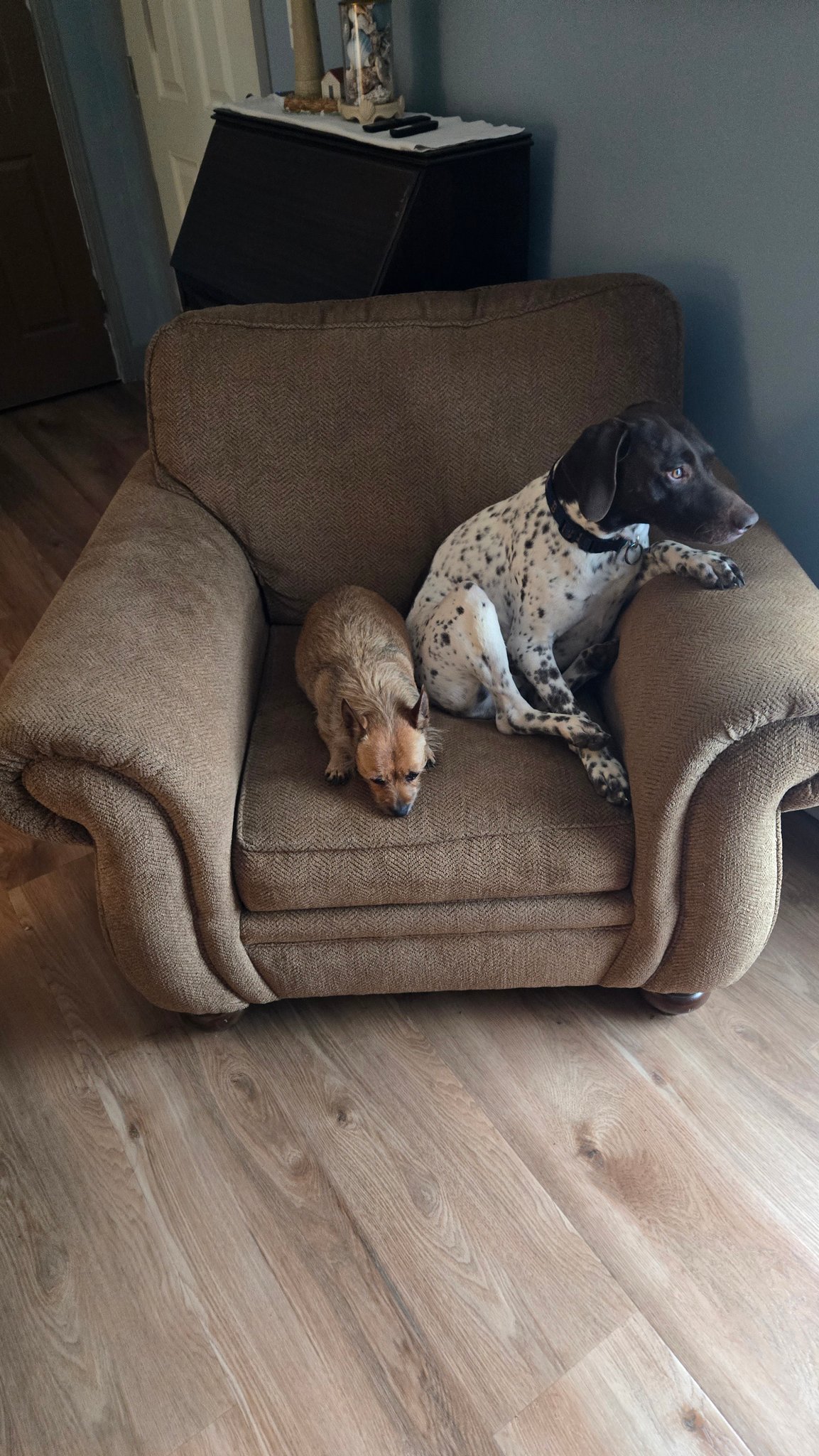 Paul - Usually Coco wouldn't be caught dead laying with him. I think ...