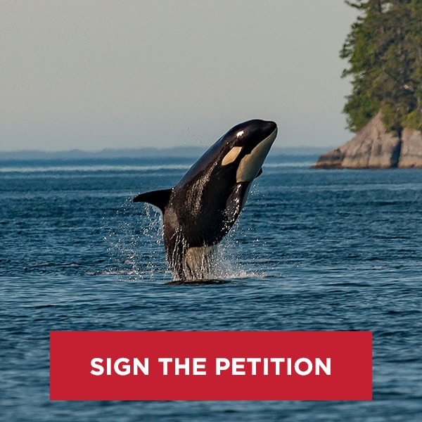 Global Marine Conservation | # SIGN NOW: Tell NMFS to STOP greedy ...