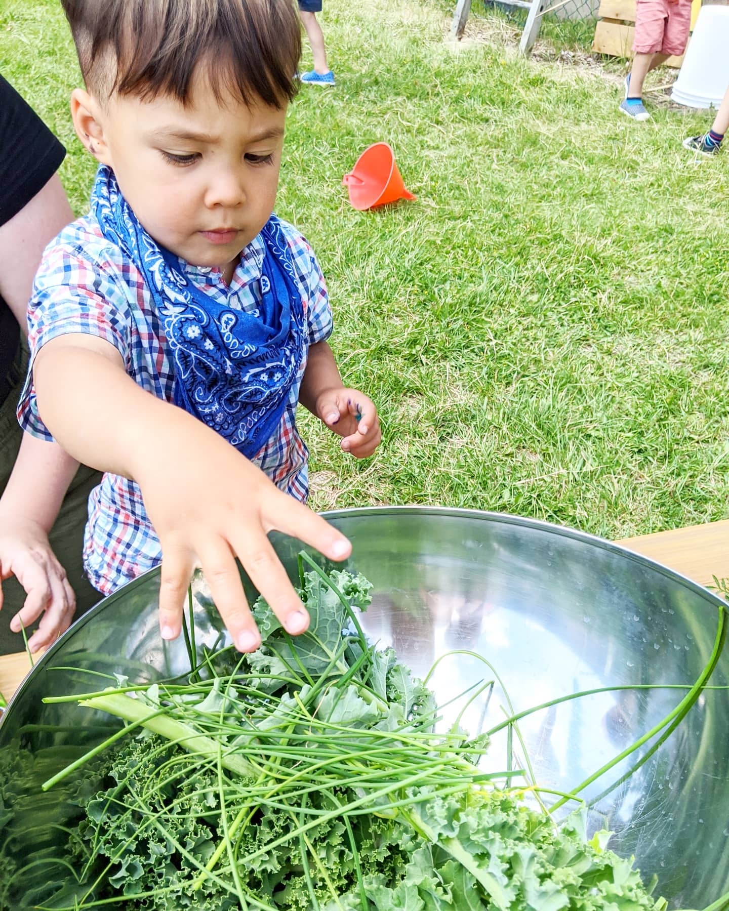 Little Roots Learning Centre | Calgary AB