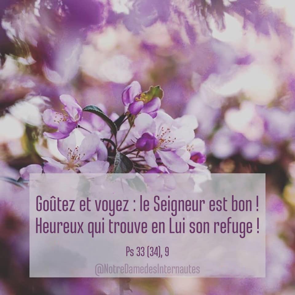 Psaume 34 Goûtez Et Voyez Comme Est Bon Le Seigneur