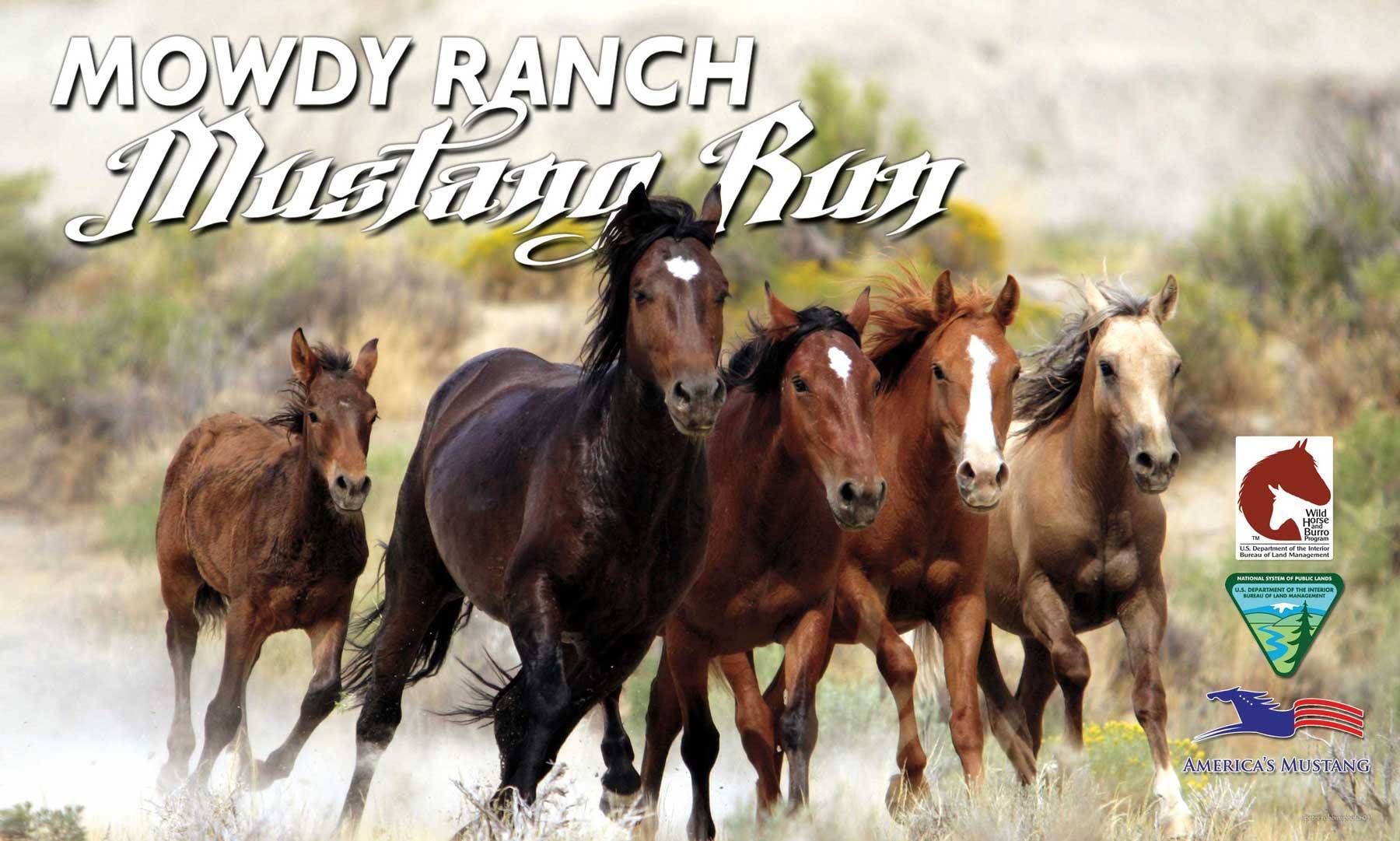Mowdy Ranch Mustangs | Coalgate OK