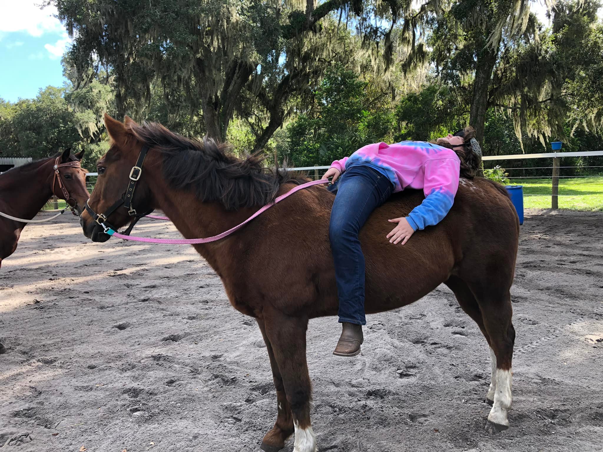 Threshold Farm | Titusville FL