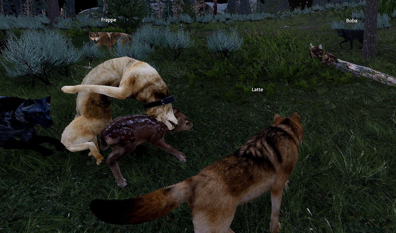 And Out Fly the Wolves Game Glitches