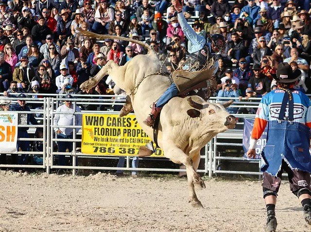 Rodeo Miami 2023 Live Stream... - Rodeo Miami 2023 | Facebook