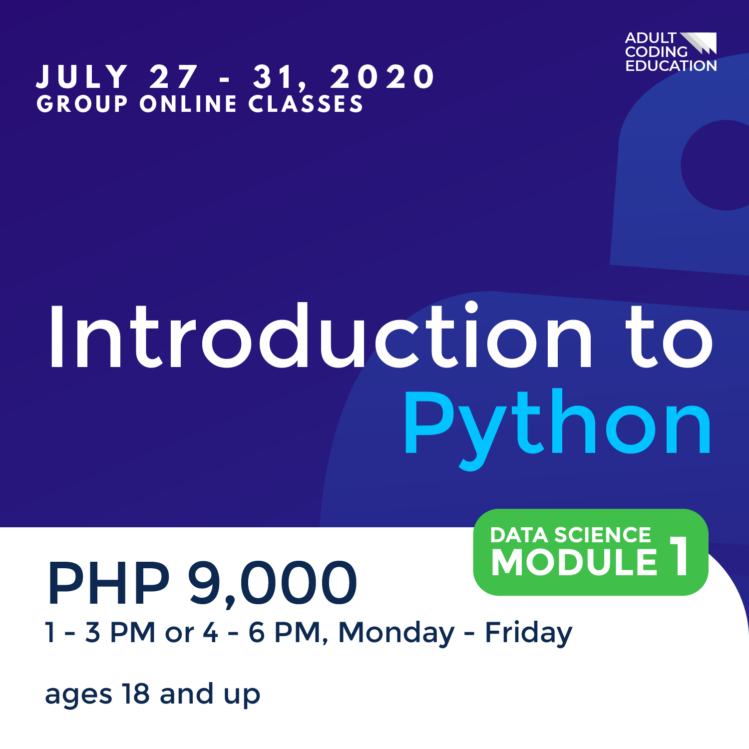 ACE Adult Coding Education | Manila
