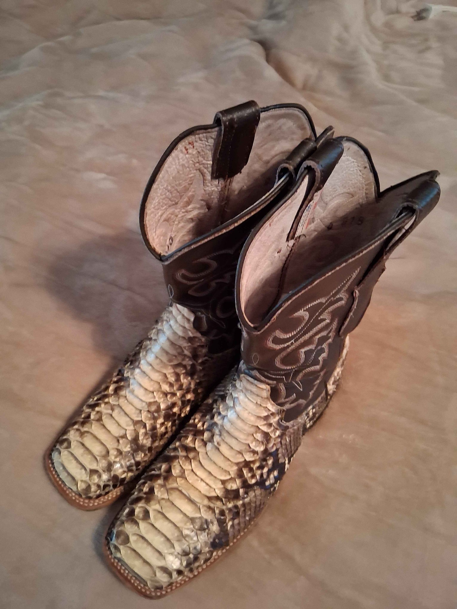 Cowtown Python snake skin Boots - Boots - Albertville, Alabama ...