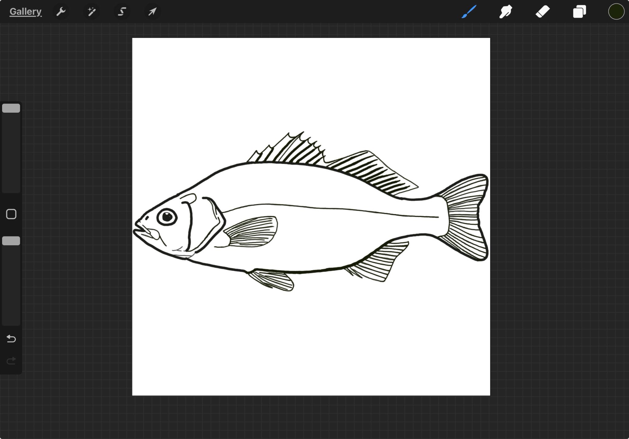Procreate for Complete Beginners | I did the hard part of doing this ...