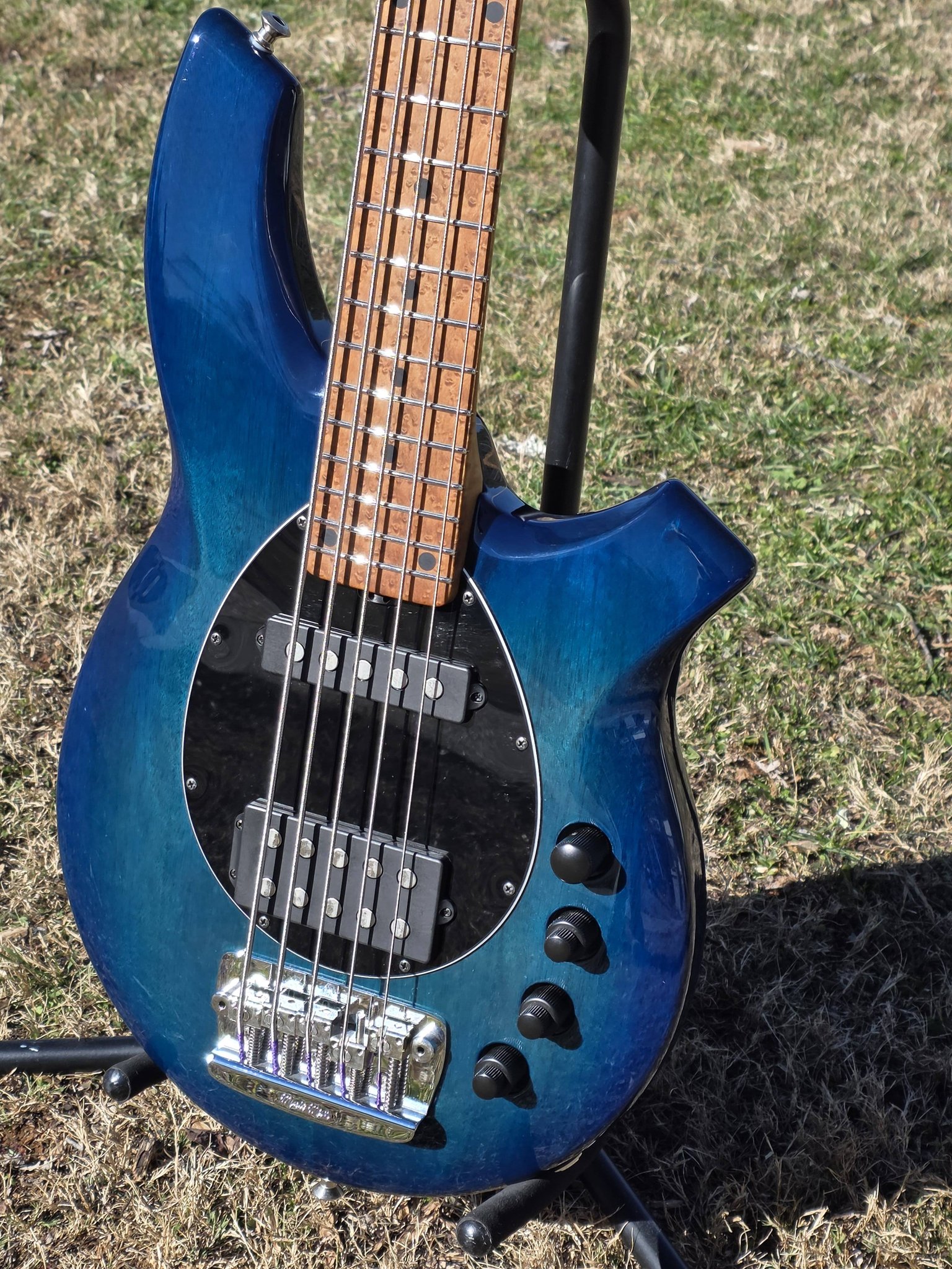 Music Man Bongo 5 HS piezo bass for sale