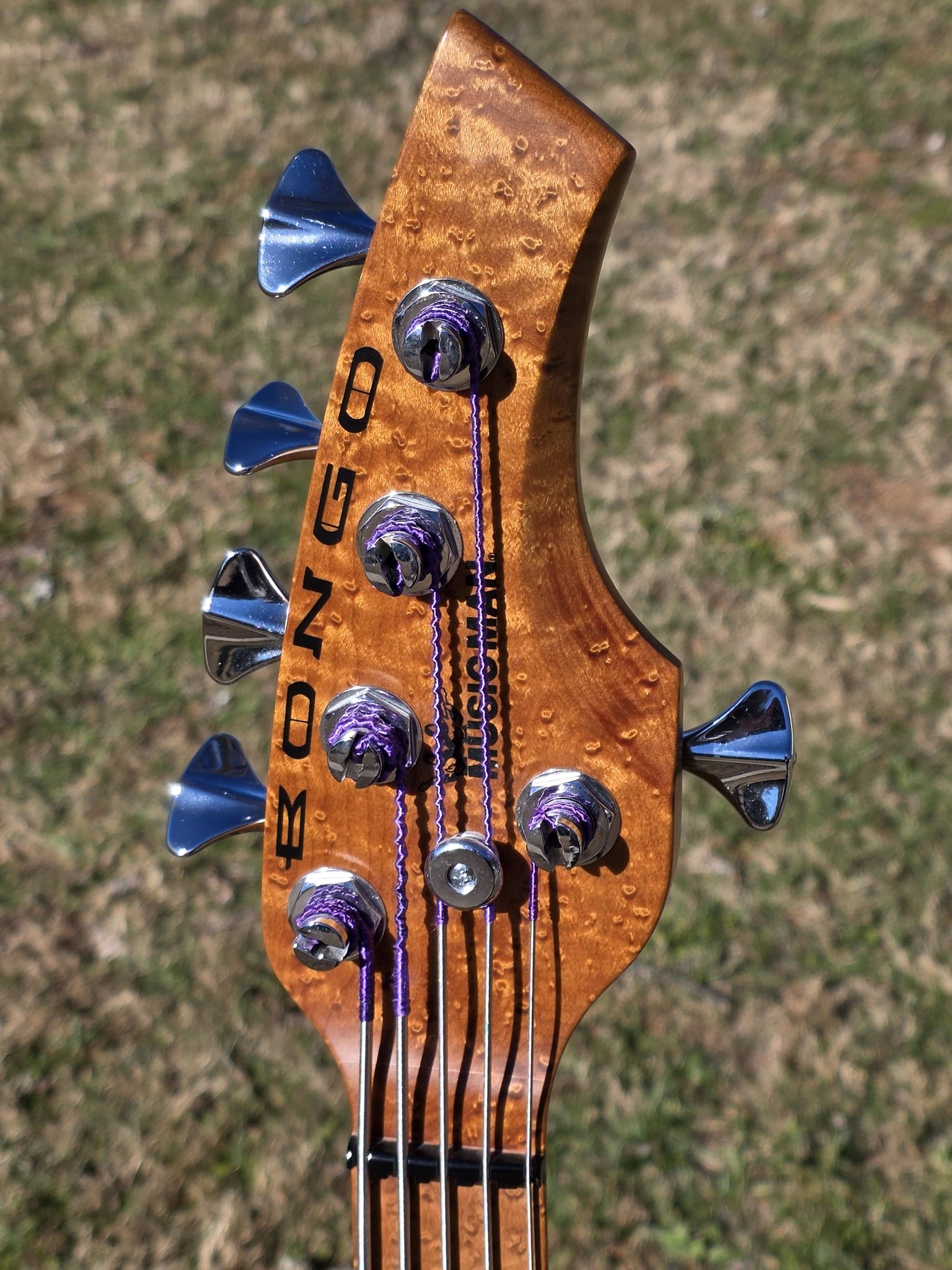 Music Man Bongo 5 HS piezo bass for sale