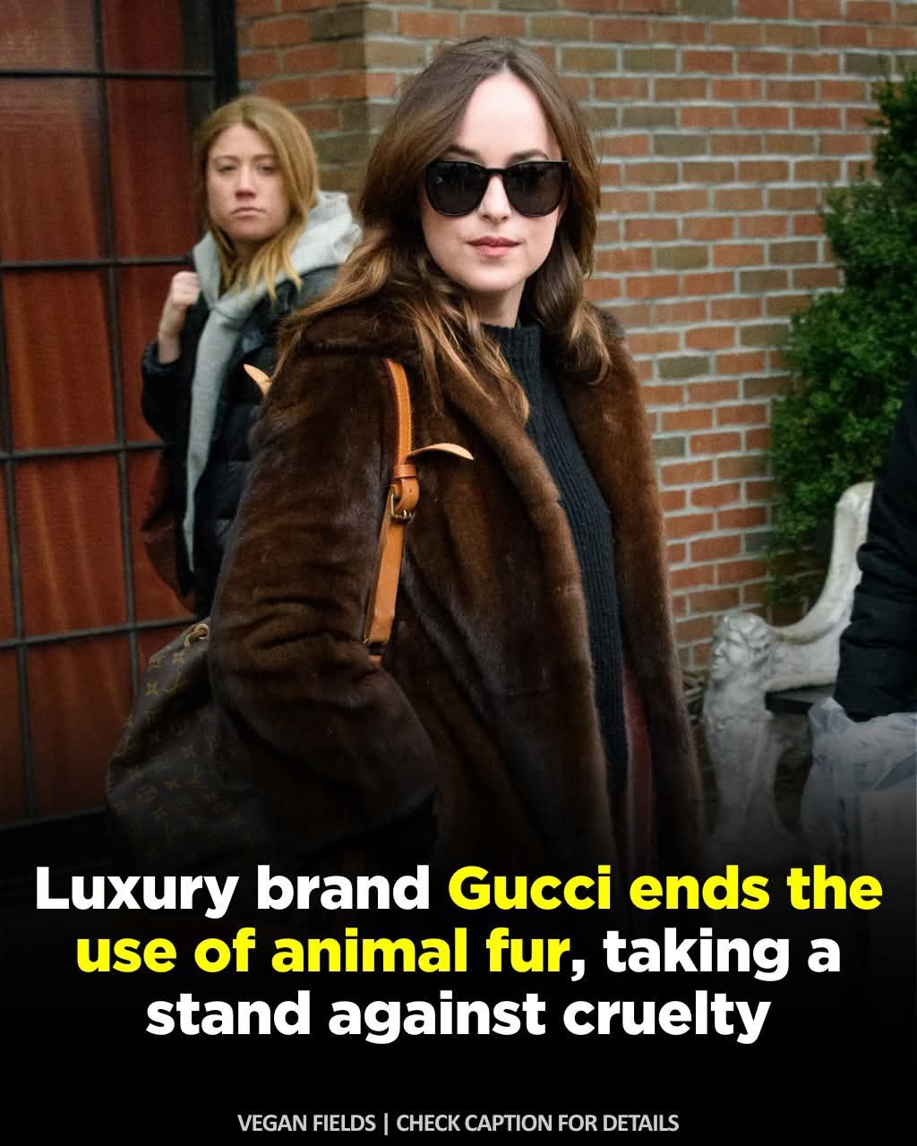 🌿 Gucci Goes Fur-Free: A Historic Win for Animals Italian luxury