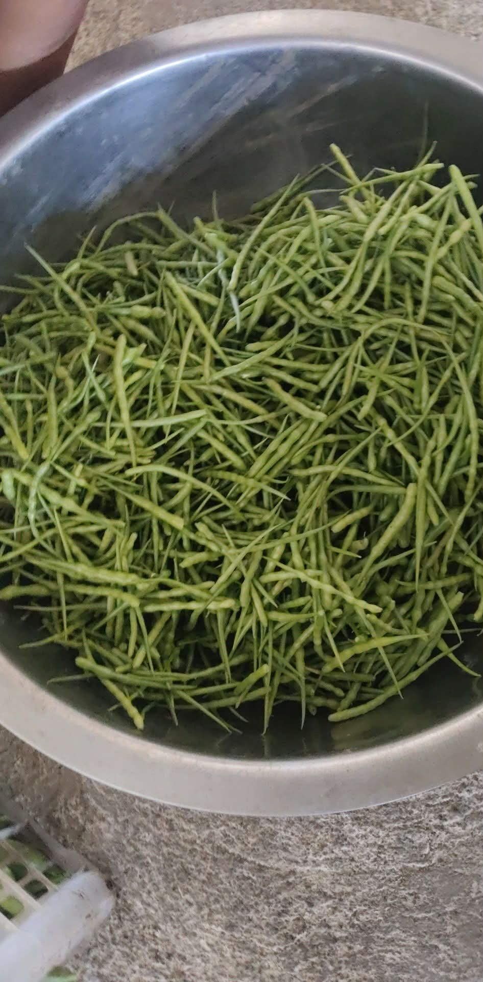 Adda po ulit. Freshly picked... - Maecon Ramos Orpilla | Facebook