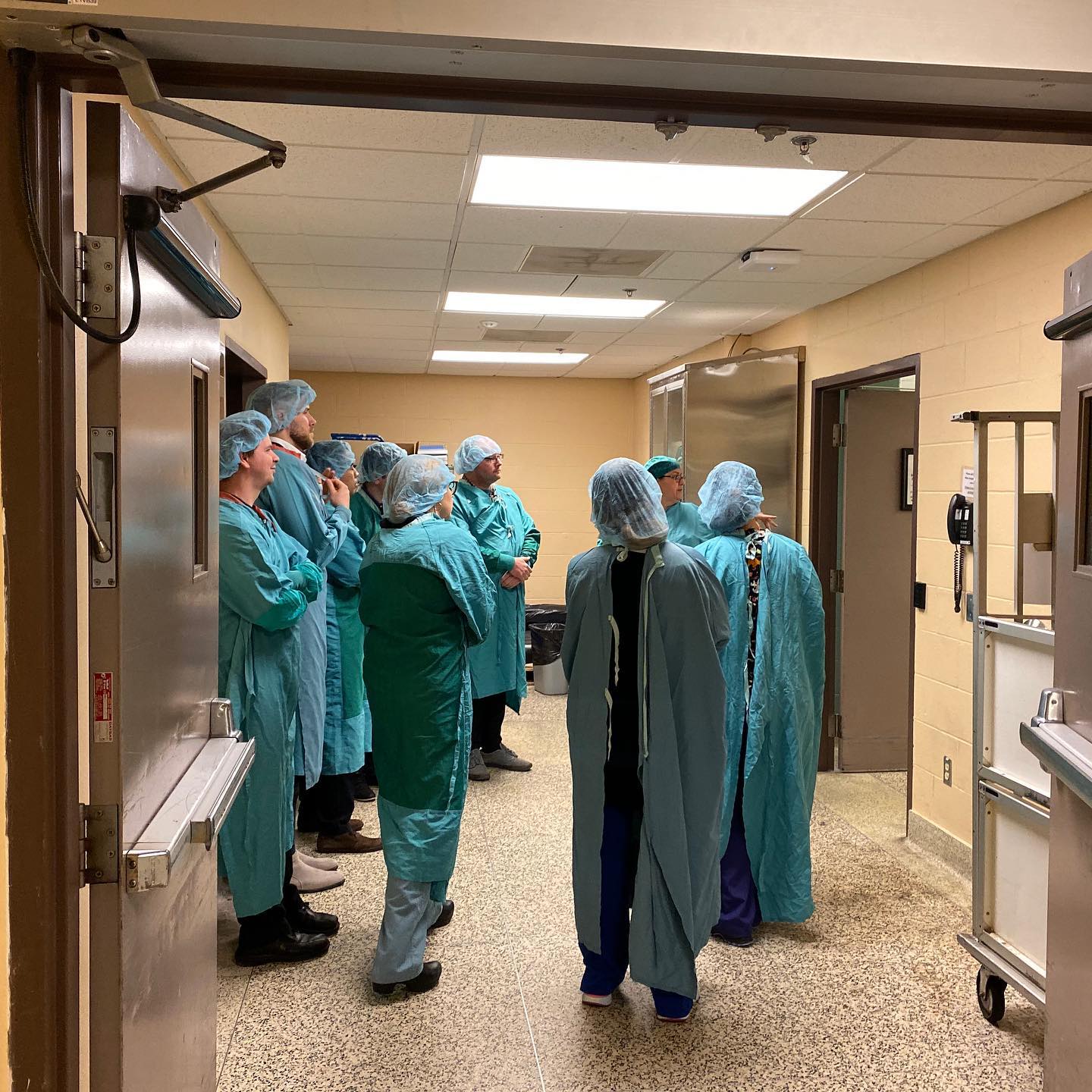 This week is MDRD week -... - Windsor Regional Hospital
