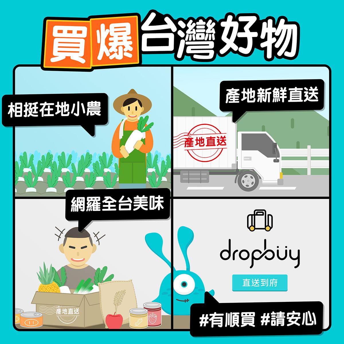 順買dropbuy