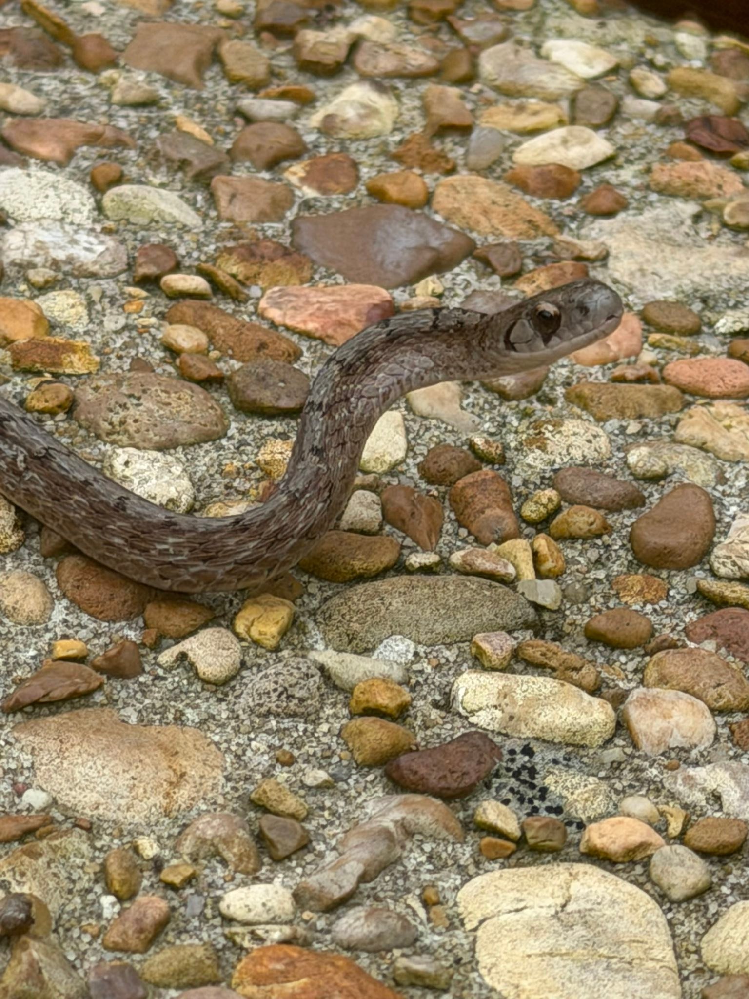 West Point MS. Can someone ID please?
