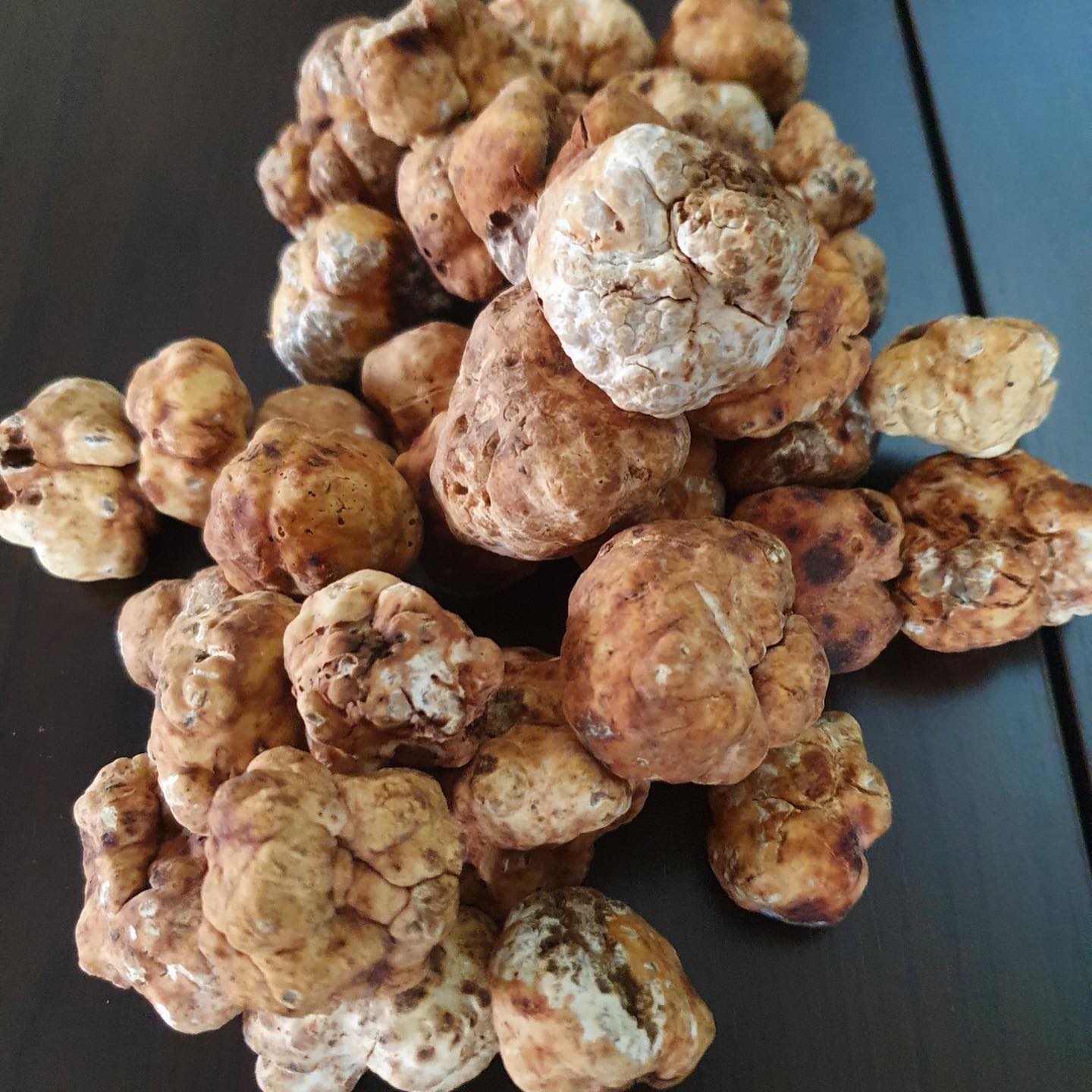 Duciduci - A gift from Spring 👨🏻‍🌾 Spring Truffle! | Facebook