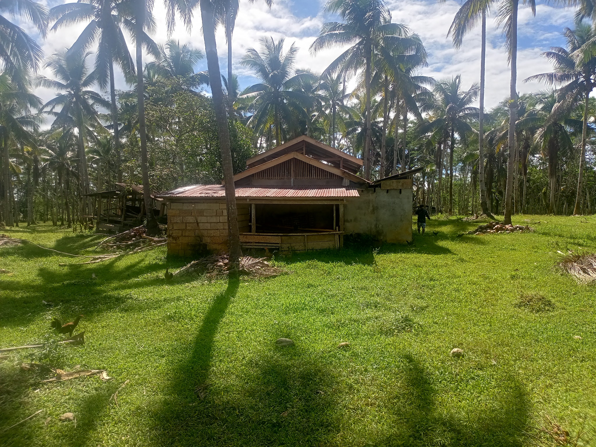 Farmlot and Lot For Sale Mindanao | Farm lot for sale | Facebook