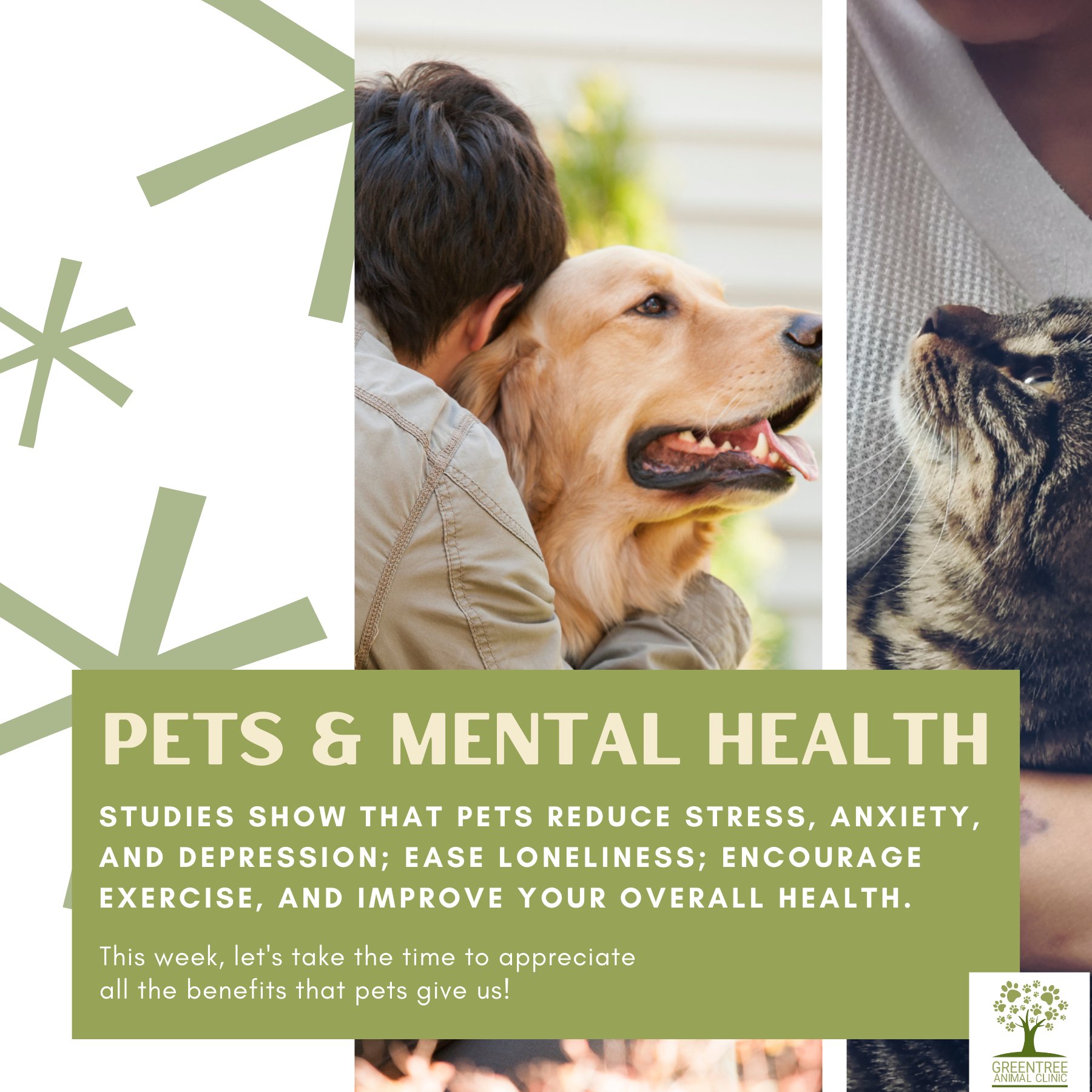 A closer look at Pet Owners And Depression