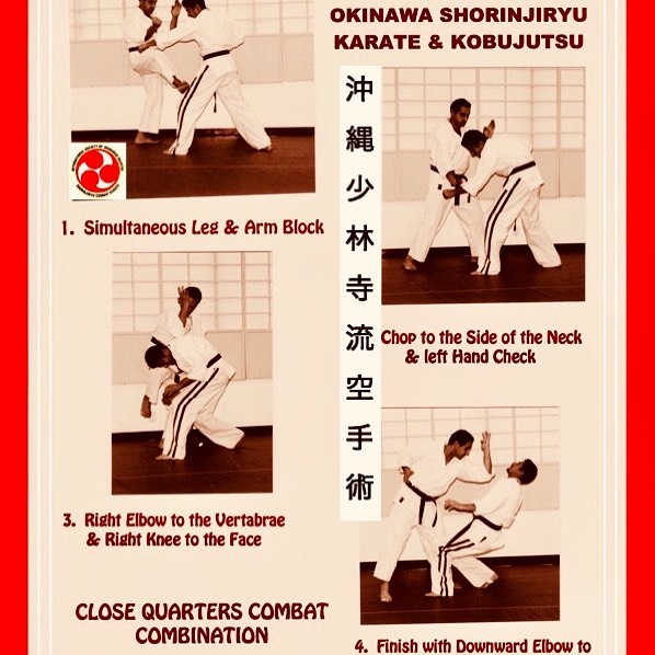 Ryūkyū Martial Arts Society - International