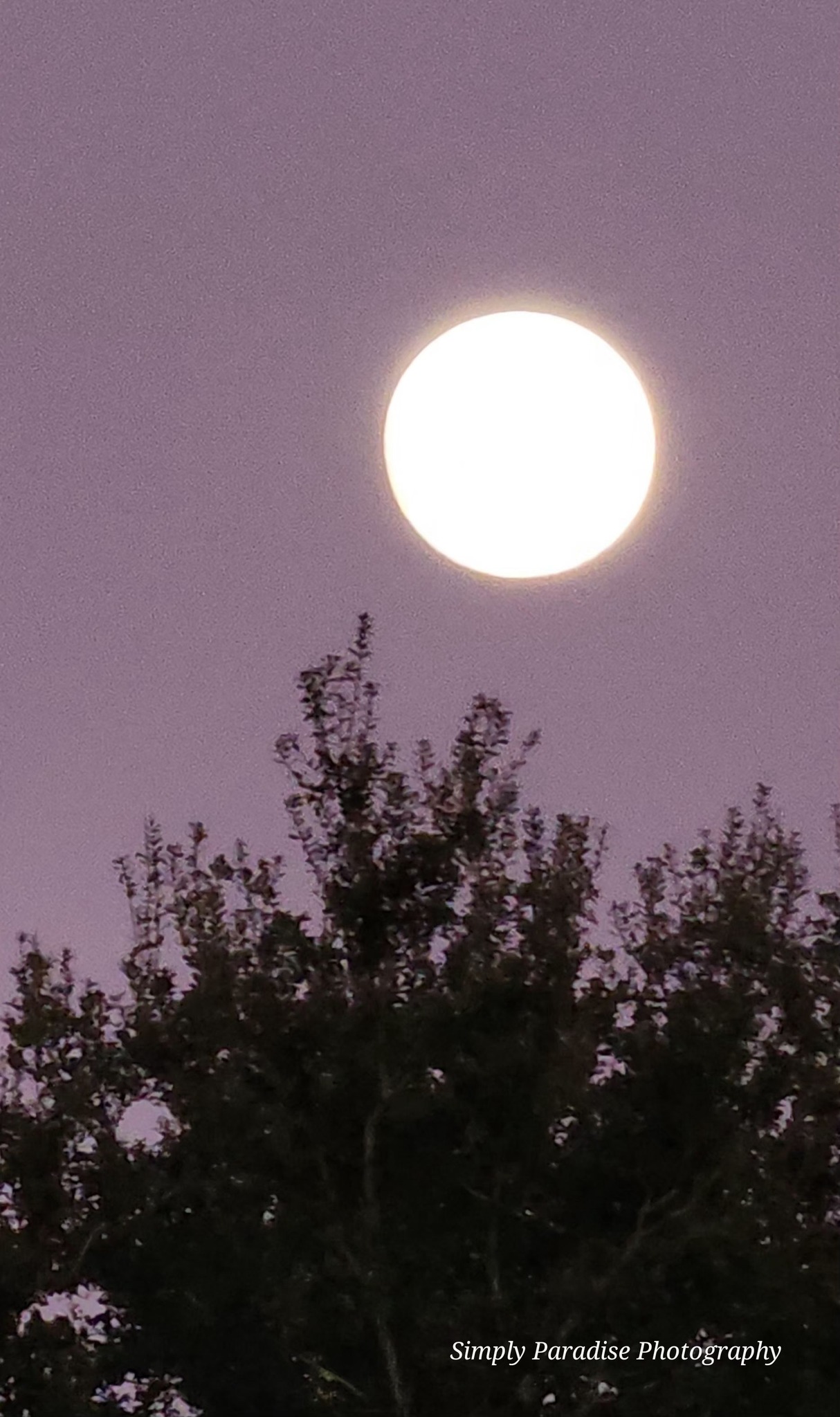 You guys catch the mega biggie size ultra jumbo moon last night