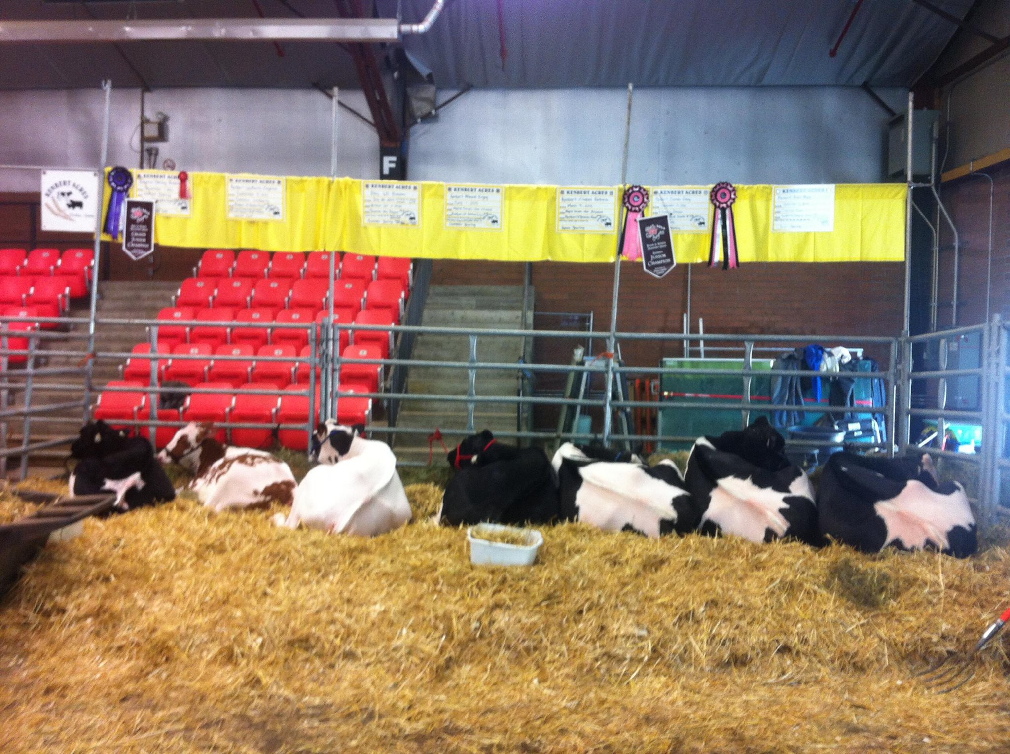 Ryan Friesen Kenbert Acres