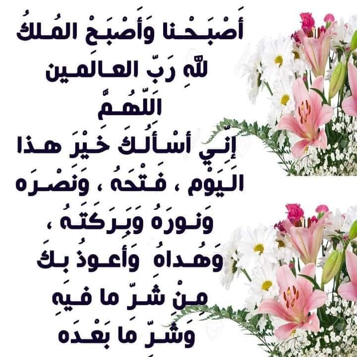 Mejdi Alouane