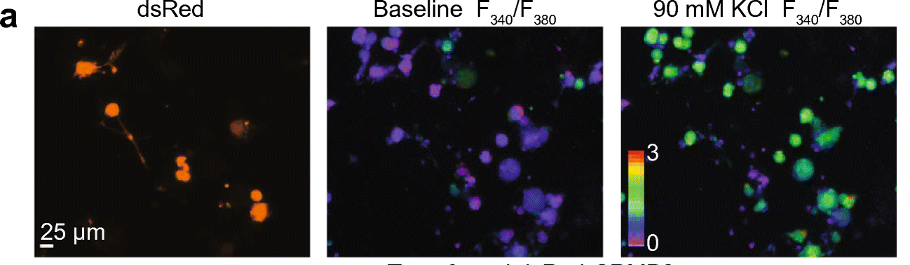Weimer Lab - Our latest paper highlighting our... | Facebook