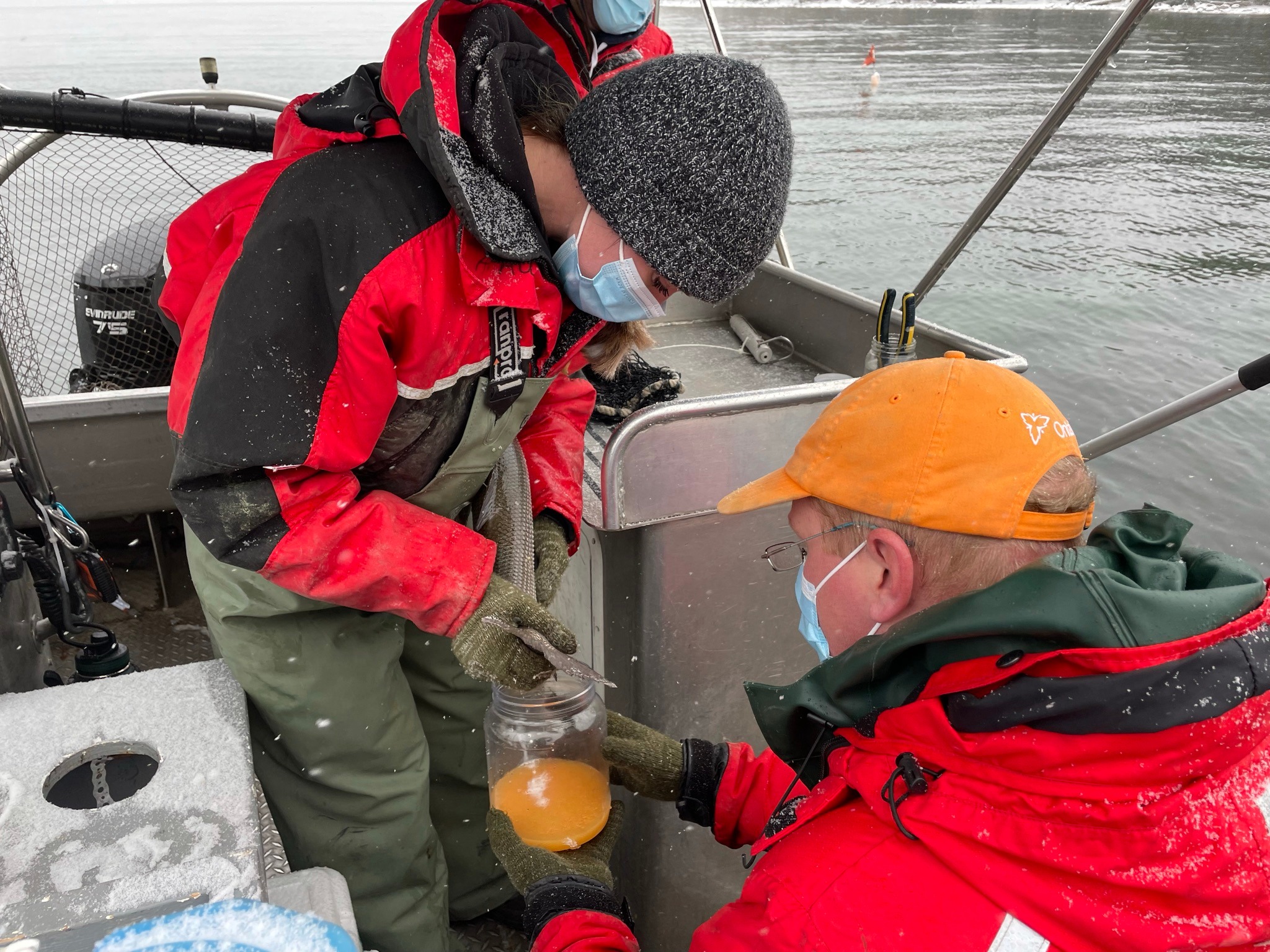 Egging on Lake Simcoe lake... - Ontario Fish and Wildlife | Facebook