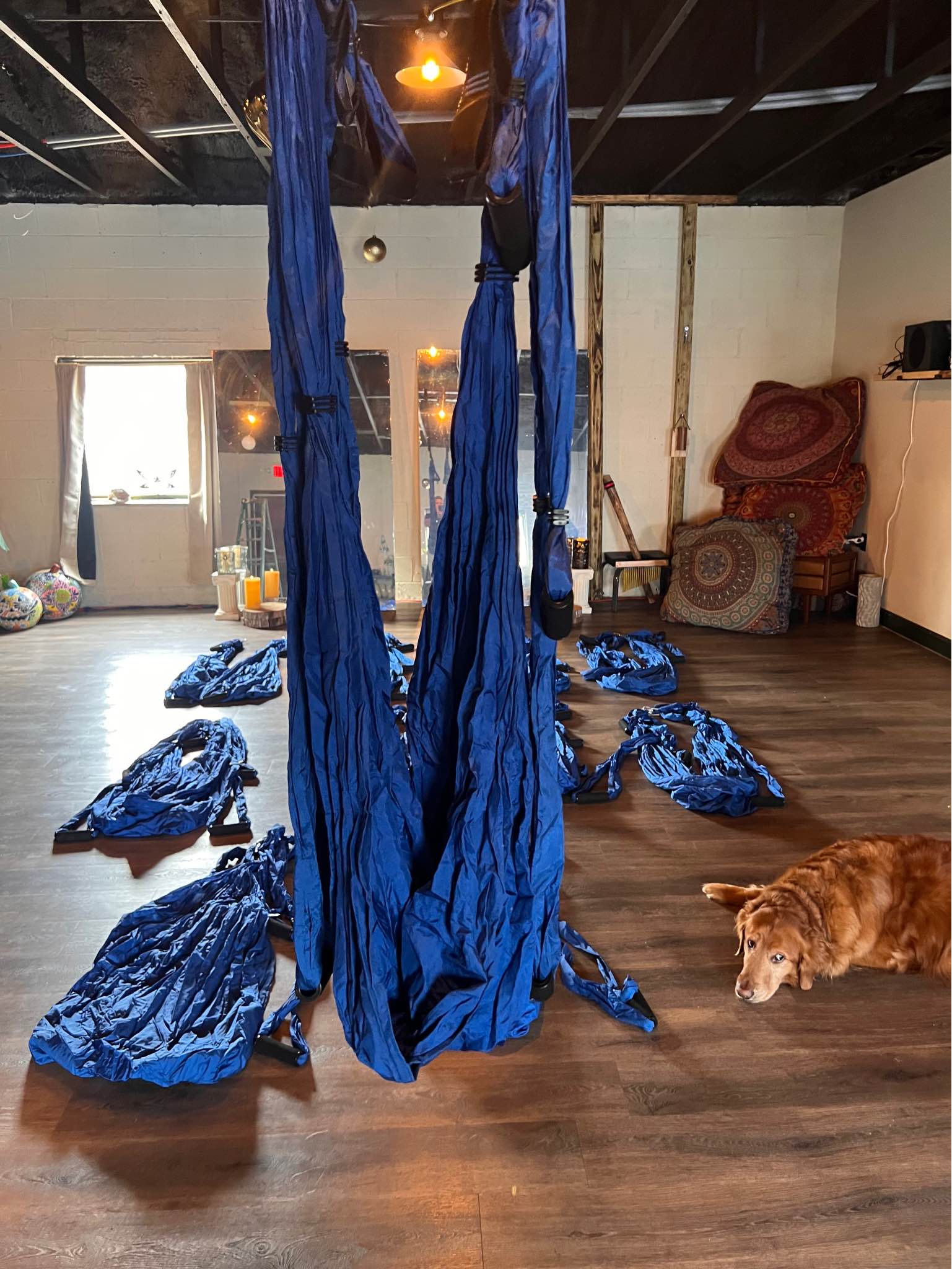 Blue Aerial Yoga Hammock Swing - 550lb Limit Nylon Fabric -11 Swings