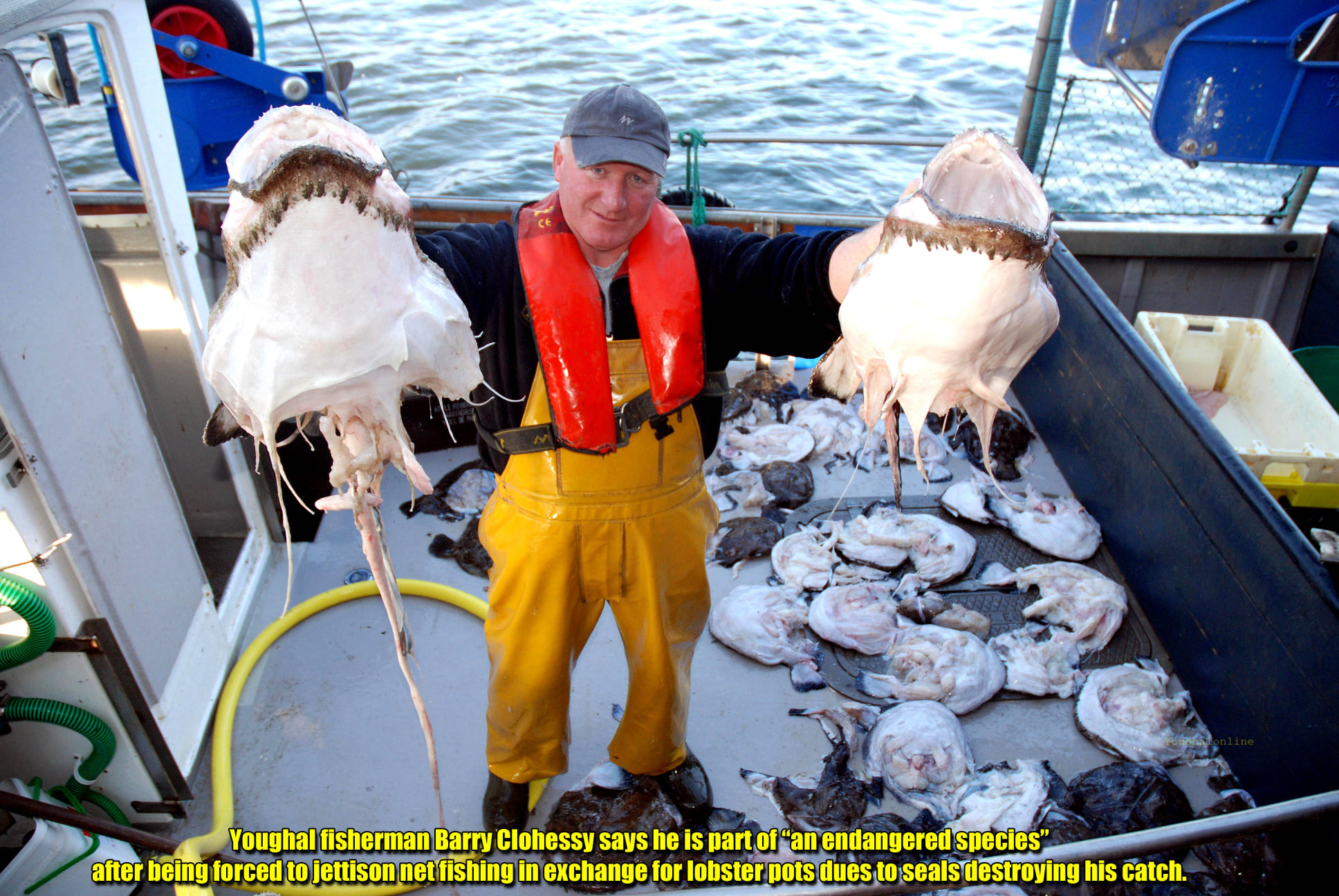 coorong net fishing AnglerCo Core Series Bait A bottom trawl is a