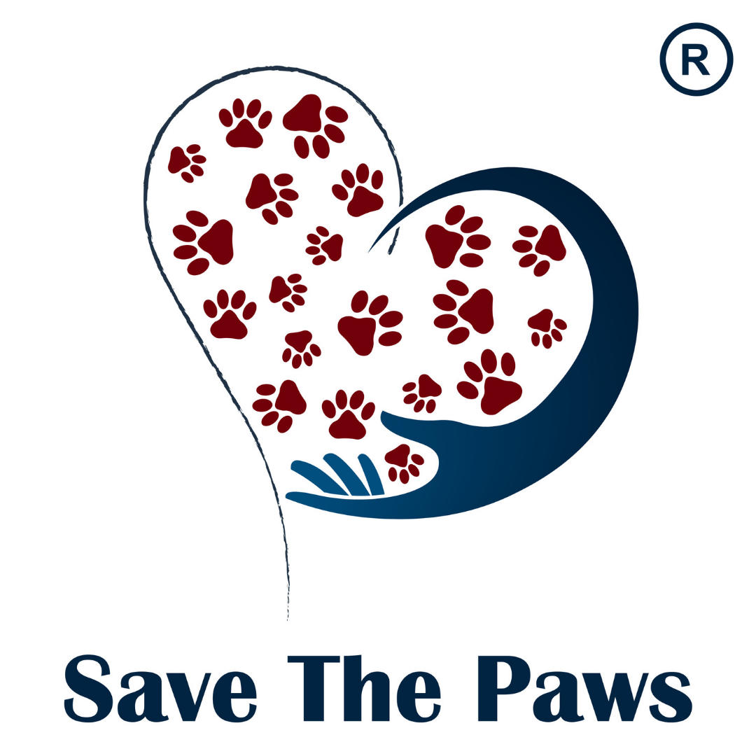 Save The Paws - Mumbai Animal Adoption/Foster/Rescue | #FeedAStray ...