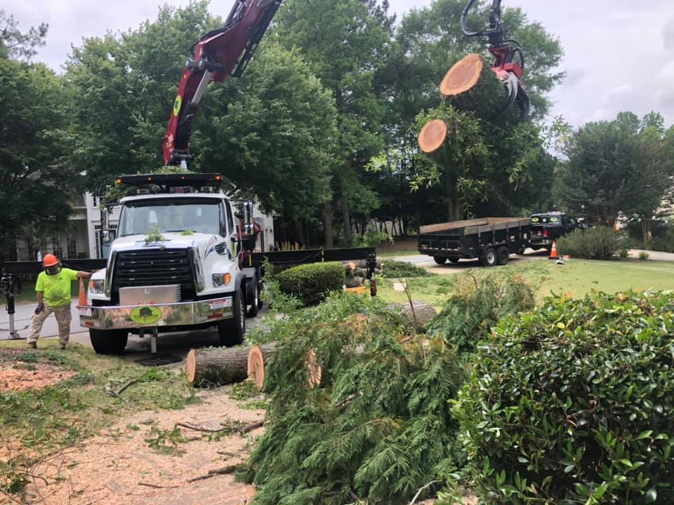 D and D Top Notch Tree... - D and D Top Notch Tree Service