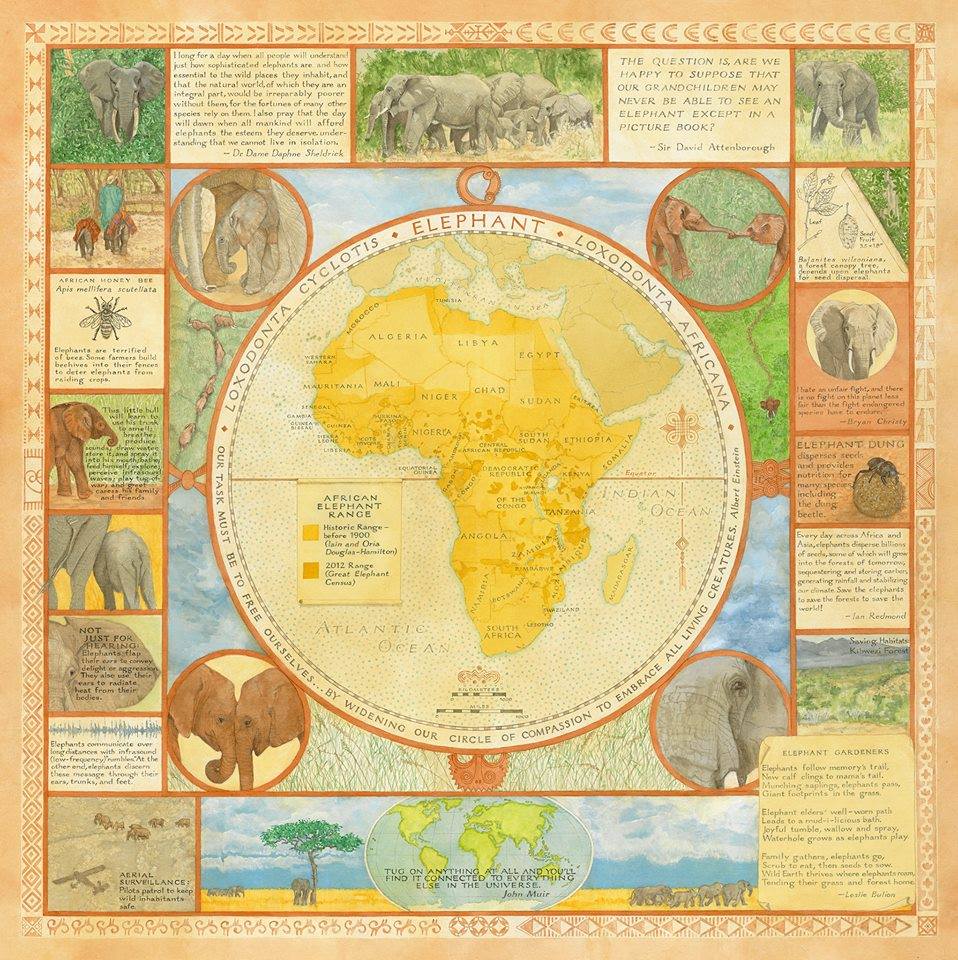 The Elephant Map Project