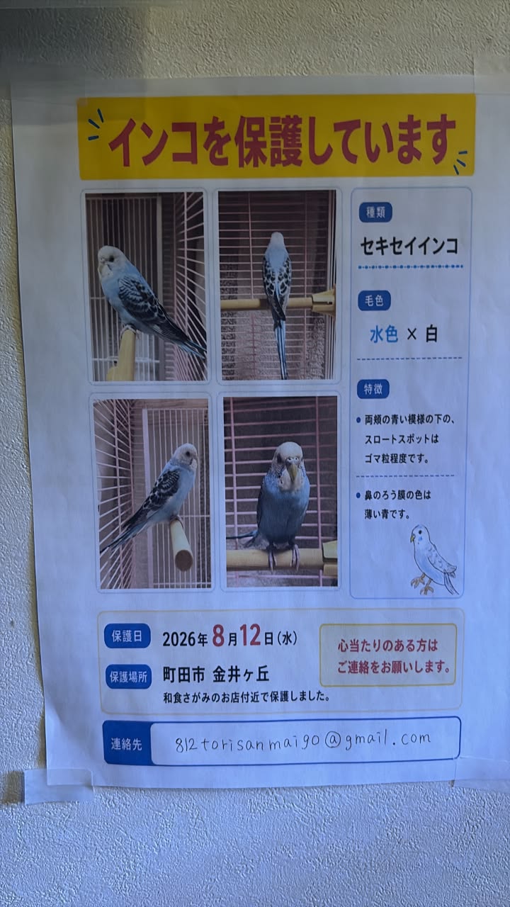 インコが大好き | Facebook