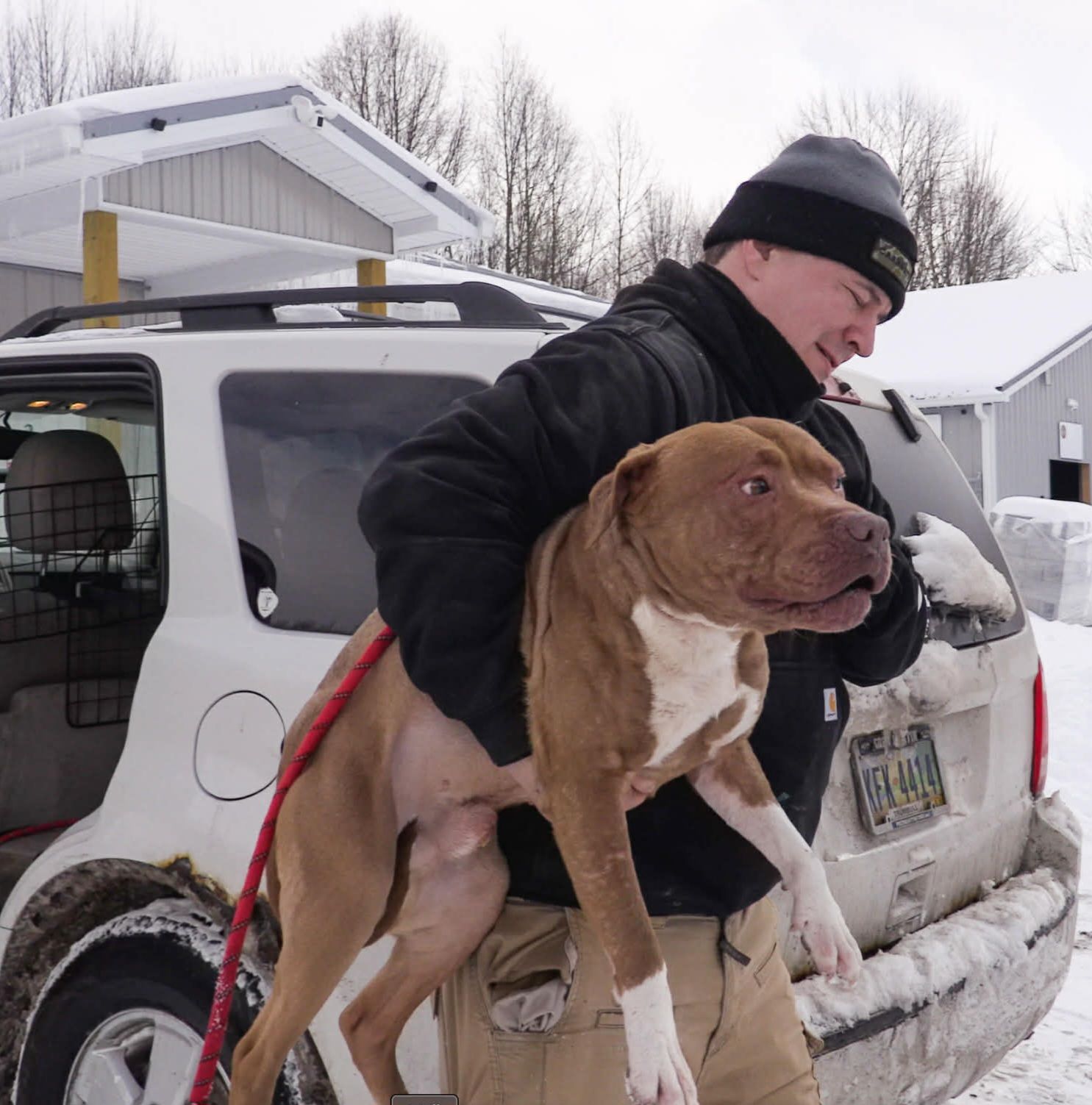 Jason - WE NEED YOU!!! As The Healthy Hearts and Paws Project animal ...
