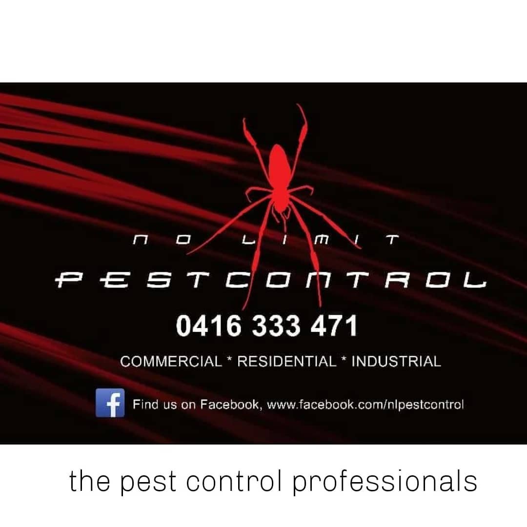 Perfect Pest Control | The Rocks NSW