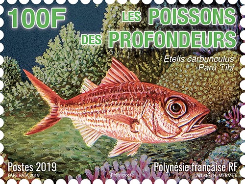 Prophila – Timbres Polynésie Française 343-345 – 1982 Poissons – Sortie Complète – MNH – Collection Timbres Animaux Aquatiques