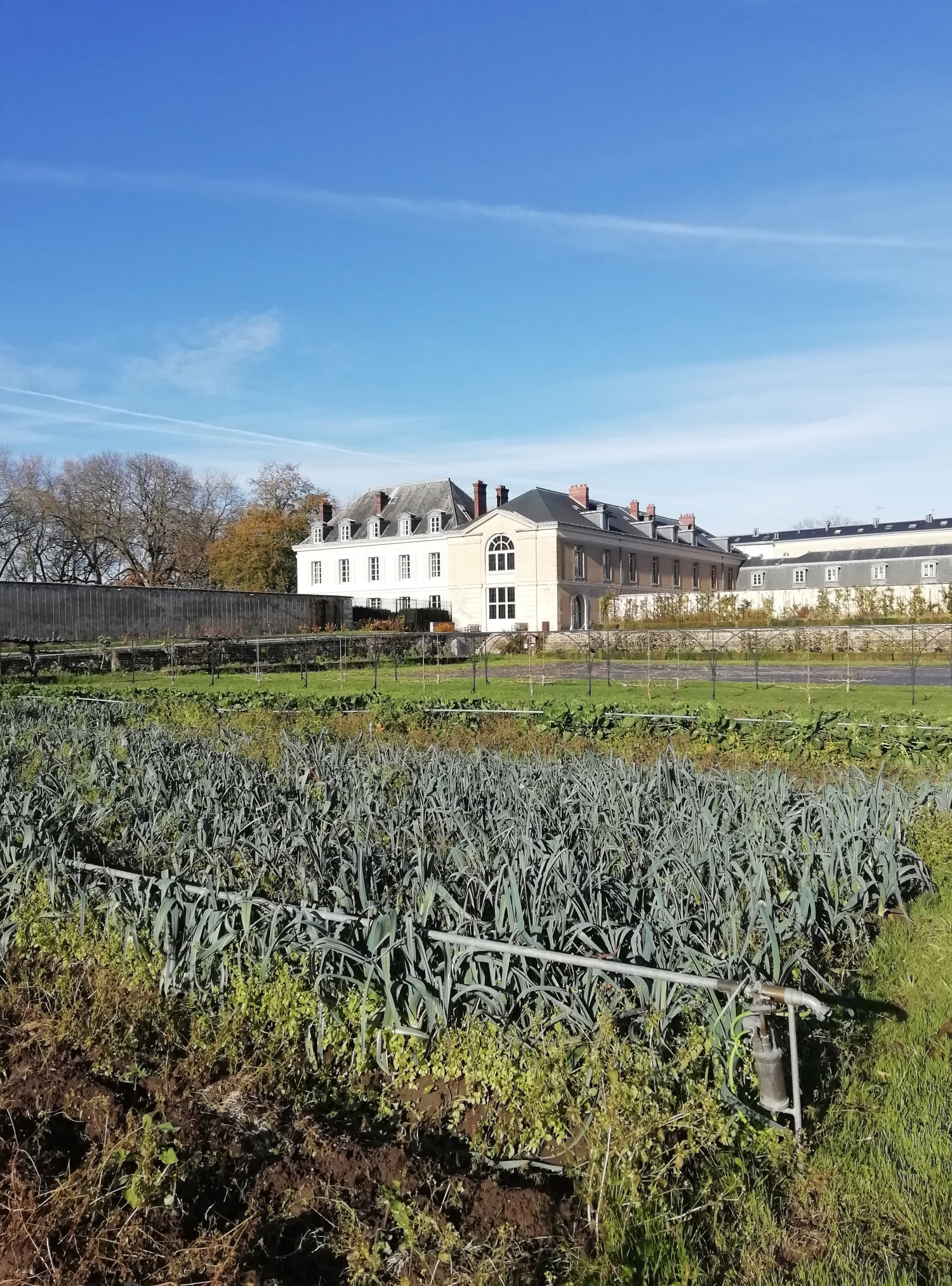 [L... - Ecole nationale supérieure de paysage - Potager du Roi