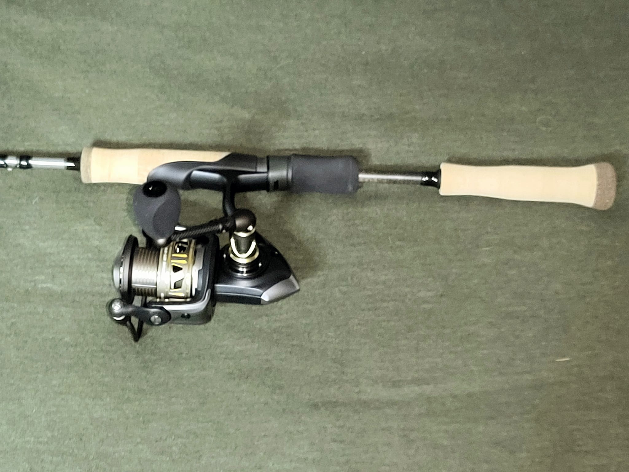 shimano sienna 1000 rd FD SN1000FD — Ted's Sports Center application__Salmon Jetty/Pier Spinning balanced design Model:TCR66MF Trinidad 40 | eBay