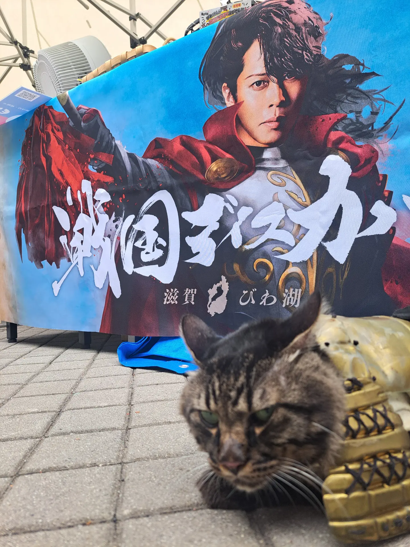 武将 サムライ猫 画像ギャラリー No 003 のぶニャがの野望 が映画 猫侍