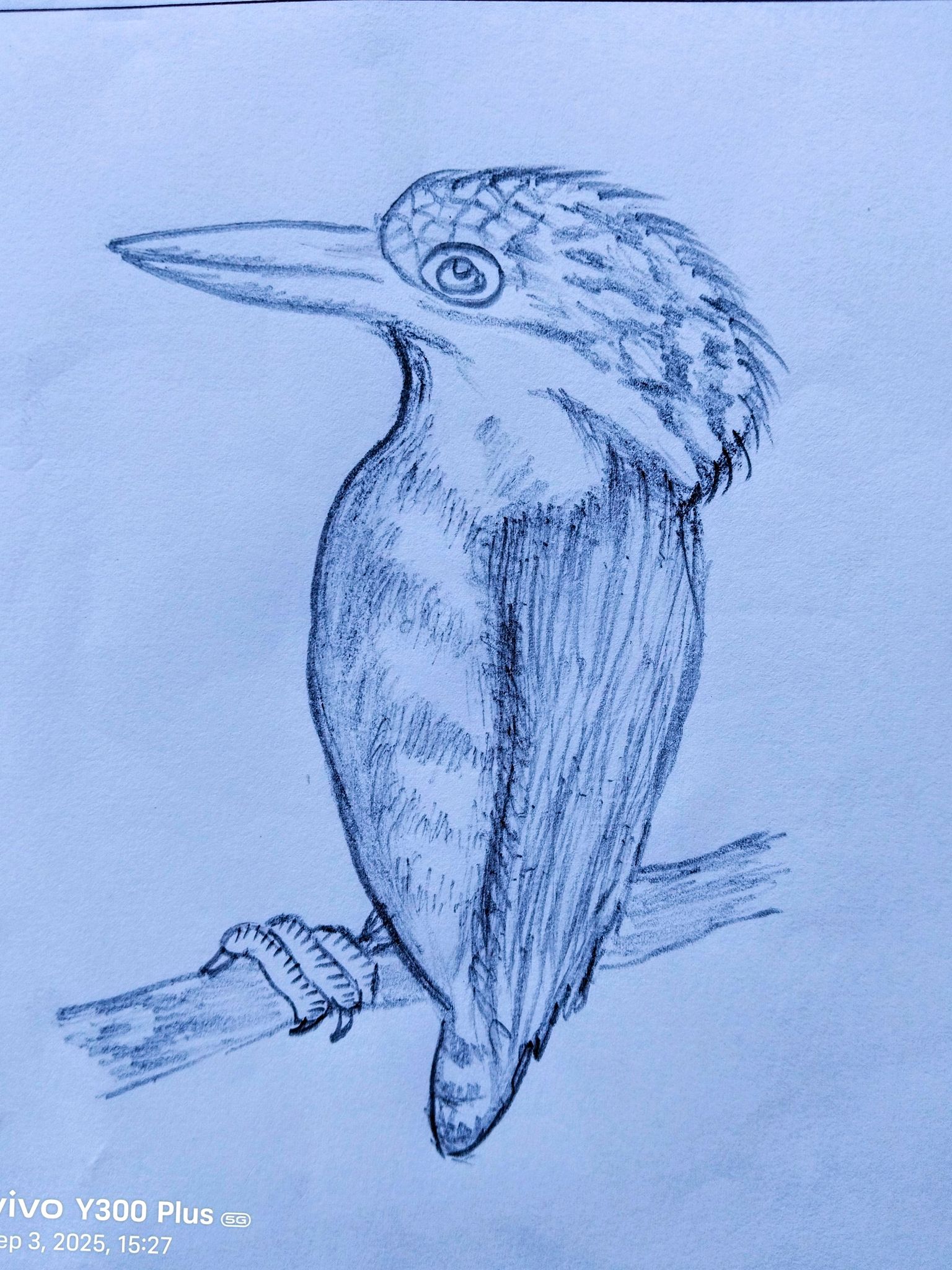 Sketch drawing ??️?️ #foryouシpage #drawing #sketch