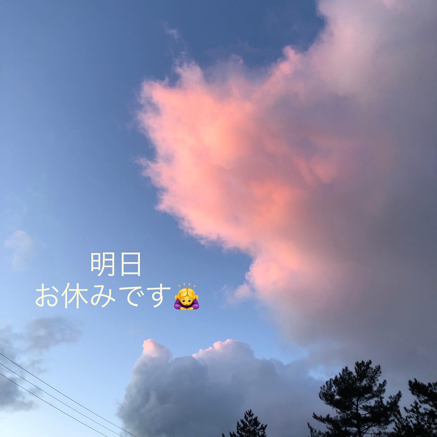 Green Bench おはようございます 昨夕春らしい空を見つけましたが ひとときの幸せでした 春はもうすぐそこまで来ていることを信じて頑張りましょう 明日土曜日は臨時休業させていただきます 申し訳ありませんがよろしくお願いいたします 018 838 5369