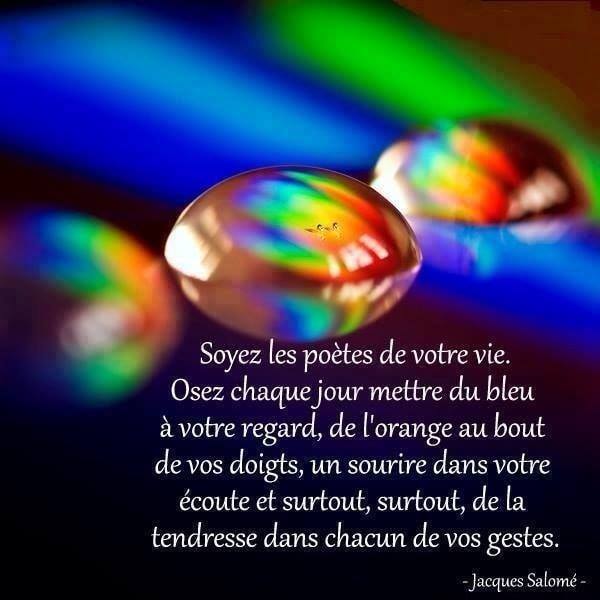 Citations Et Rigolo Facebook