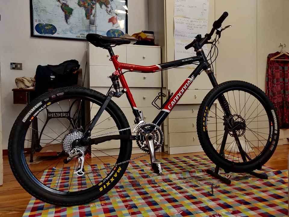 Cannondale Scalpel Team 2006/Rohloff Speedhub 14 Visegrád-Hungary